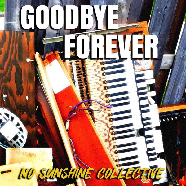 Cover art for Goodbye Forever